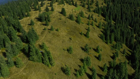 Ruhige-Grüne-Hügel-Aus-Der-Luft-Mit-Herrlichem-Blick-Auf-Den-Fichtenwald-An-Warmen-Sommertagen