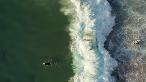 Un-Surfista-Tumbado-En-Su-Tabla-De-Surf-Remando-Hacia-Romper-Las-Olas-Que-Se-Acercan-En-La-Playa-De-Llandudno,-Ciudad-Del-Cabo,-Sudáfrica