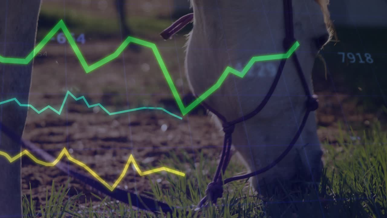 Paard dat zijn hoofd laat zakken om te grazen, animerende lijngrafieken die stijgen en dalen visualiseren graasstatistieken