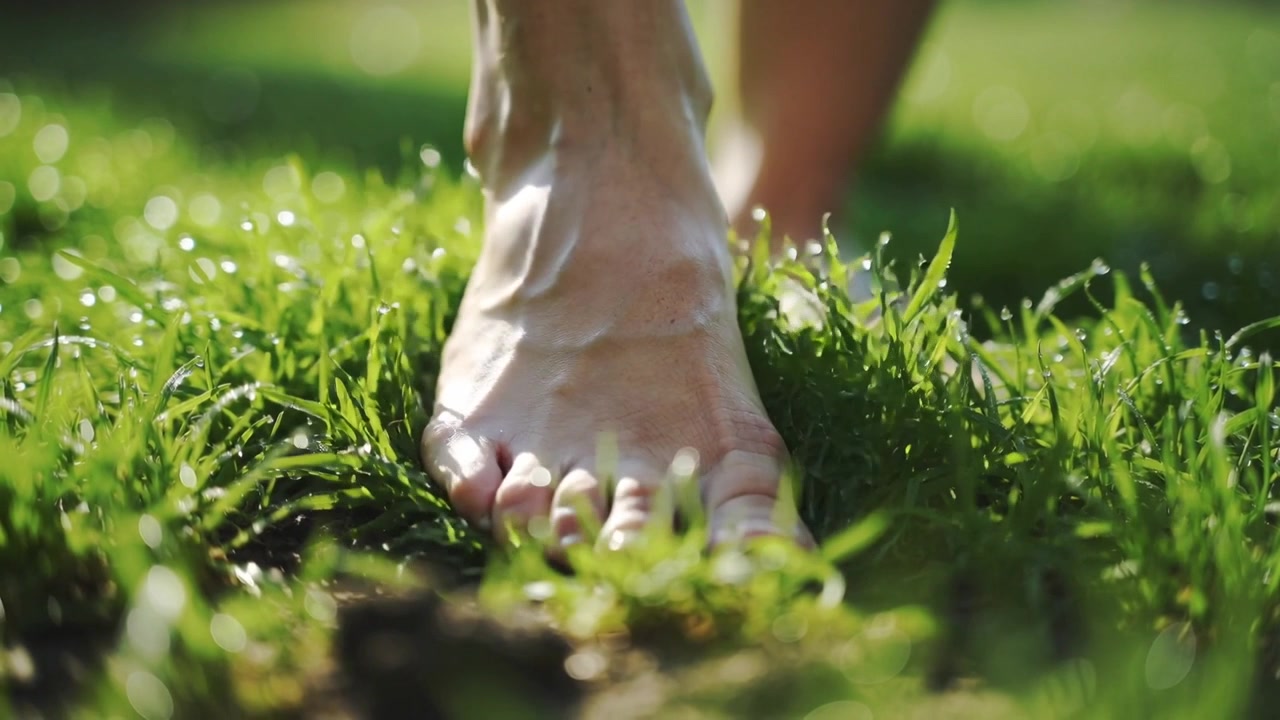 Stepping adult bare foot pressing into dewy grass during morning walk, scattering sunlight droplets