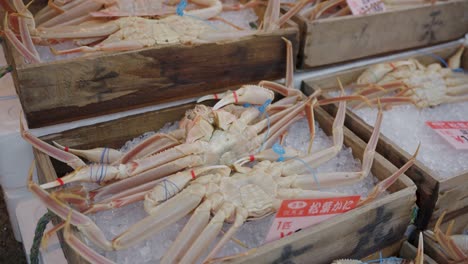 fresh live japanese crabs on ice at fish market, kinosaki onsen town