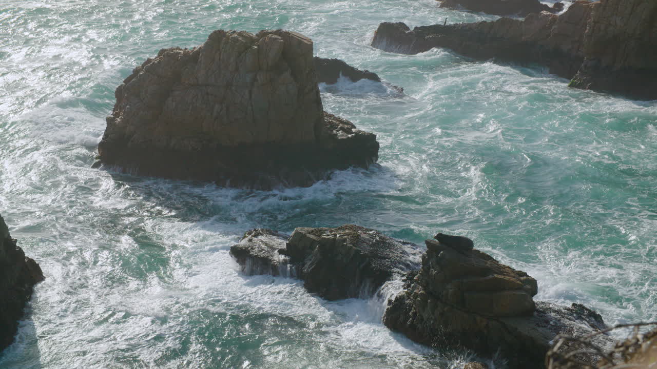 Fauna selvatica di Big Sur: un leone marino su una roccia a Painters Point, California