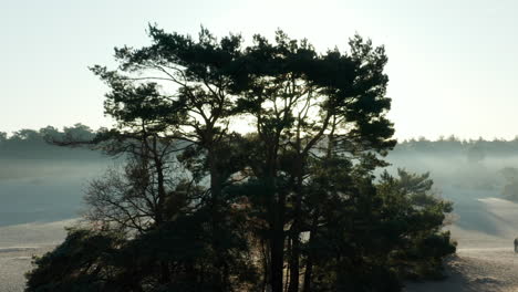 vista de la puesta de sol del paisaje arenoso y el bosque en soest países bajos - toma panorámica