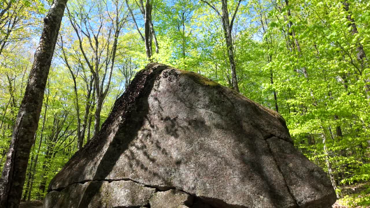 Glacial erratic boulder resting in green forest, moss and trees in background