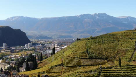 Aerial-Drone-Over-the-Vineyards,-and-the-church-of-st