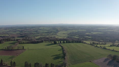 Flying-towards-the-horizon-over-green-grass-pastures-separated-by-scattered-trees
