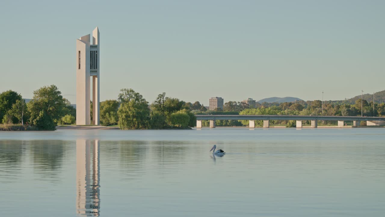 A pelican drifts across Lake Burley Griffin as the National Carillon stands tall in the morning light. In the distance, joggers and traffic move across the bridge, adding life to the tranquil scene.