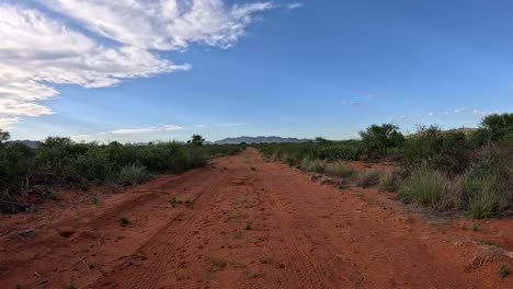 the beauty of the southern kalahari