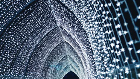 stunningly beautiful white light display in sydney botanic gardens during vivid in slow motion tracking shot