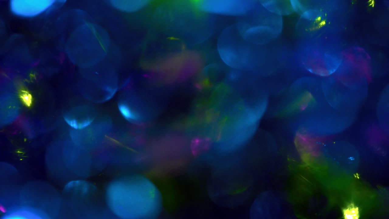 círculos multicolores abstractos. fondo para las vacaciones