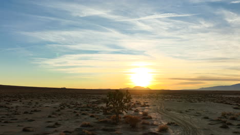 The-silhouette-of-a-large-Joshua-tree-in-the-Mojave-Desert-with-a-golden-sunset-as-a-backdrop---slow-aerial-ascending-view