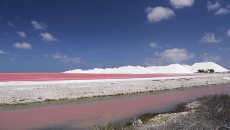 Die-Rosa-Und-Grünen-Salzpfannen-Und-Seen-Von-Bonaire