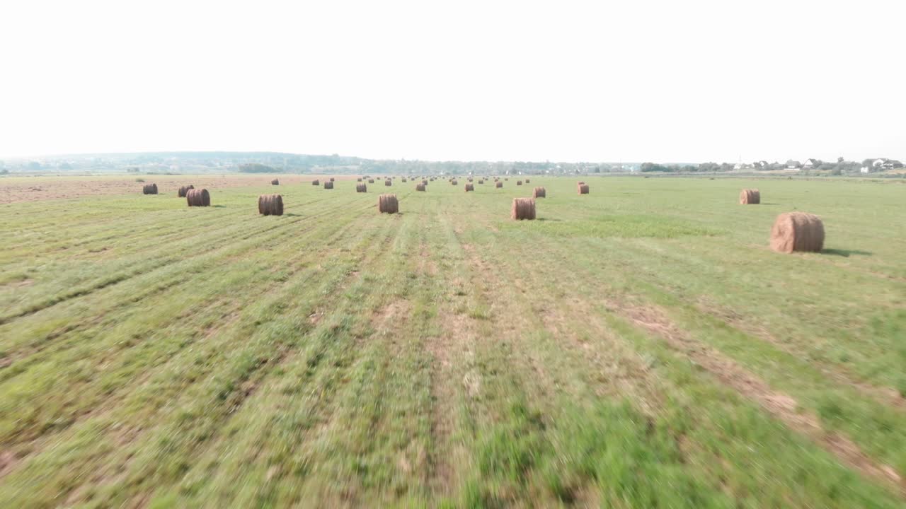 Yeşil çimenli tarlada saman balyaları. Geniş arazide saman ruloları. Hasat ve tarım konsepti. Tarım arazisindeki çiftlikte saman balyaları.