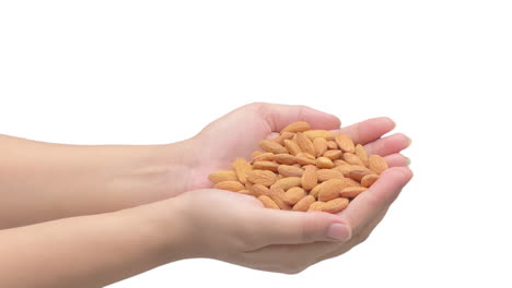 fotografía de cerca de una mano femenina que muestra un puñado de semillas de almendra aisladas en un fondo blanco