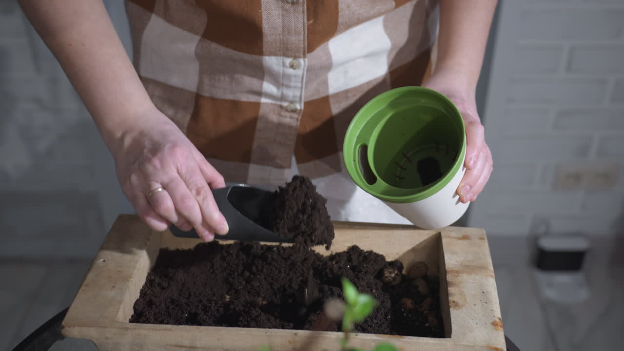 Homemaker scooping rich potting soil from wooden bowl into plastic planter on glass table under soft indoor light capturing every textured detail of mindful planting ritual