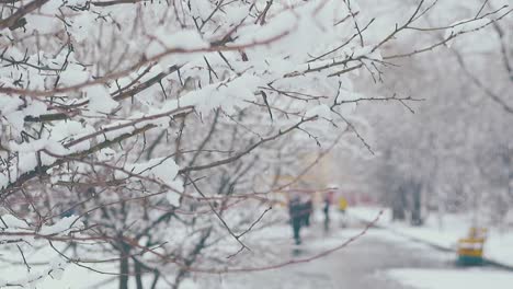 Nieve-Tumbada-Y-Derritiéndose-En-Las-Ramas-De-Los-árboles-Contra-El-Parque-Blanco