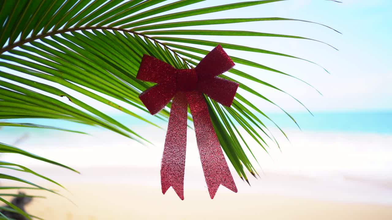 lazo rojo colgado de una palmera verde en la playa de arena tropical.