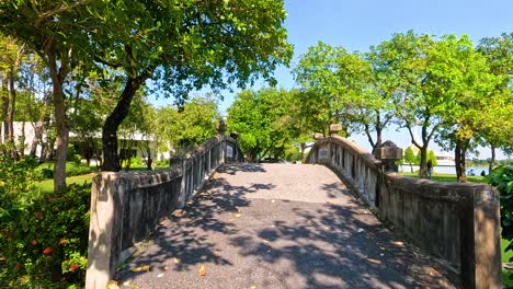 peaceful stroll through lush park scenery