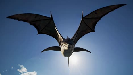 flying shark dragon