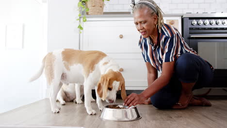 Mujer-Mayor-Afroamericana-Alimentando-Al-Perro-En-La-Cocina