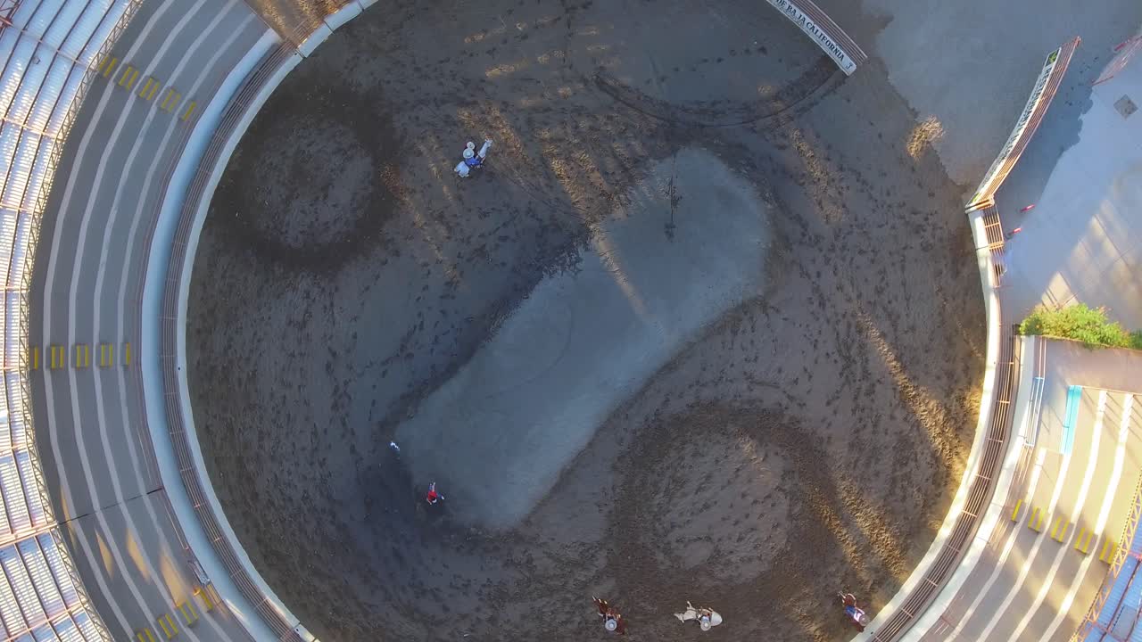 로데오 경기장에서 원을 그리며 달리는 말