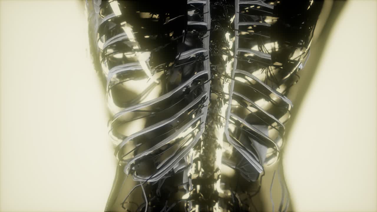 순환계의 혈관에 있는 혈액의 검사