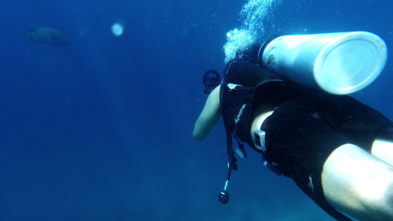 바다를 아는 것, 바다에 누가 살고 있는지 아는 것