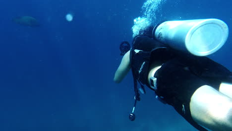 conocer el mar, saber quién vive en él
