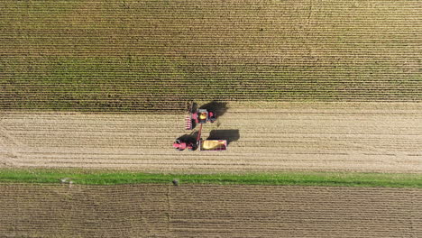 combine harvester transferring soybean grains into tractor-attached grain cart, aerial