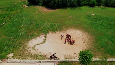 aerial perspective of kids watching horses on a farm, featuring one horse interacting near the fence, with a group of horses gathered on a dirt patch