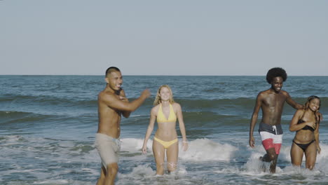 friends walk to shore after throwing beach ball, static