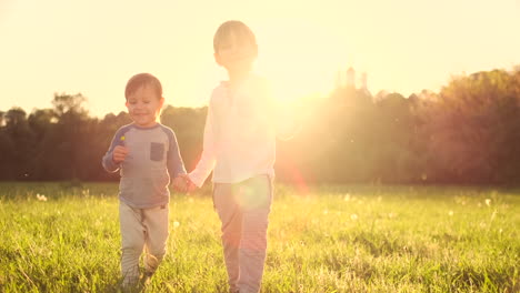 Zwei-Brüder-Gehen-Im-Sommer-Bei-Sonnenuntergang-Glücklich-Und-Fröhlich-Händchen-Haltend-über-Das-Feld.