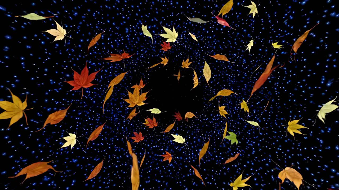 움직이는 가을 잎