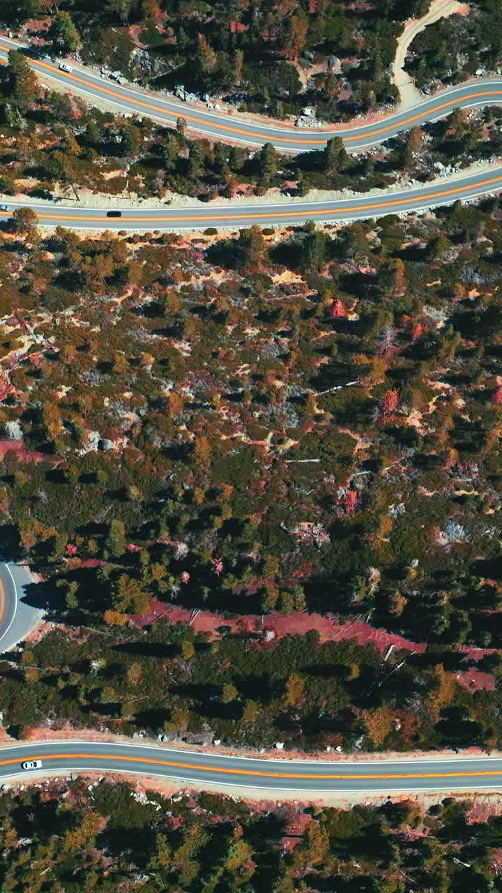 Mountainous landscape crossed by the twisted road. Sunny day footage over the wooded territory from aerial perspective. Vertical video