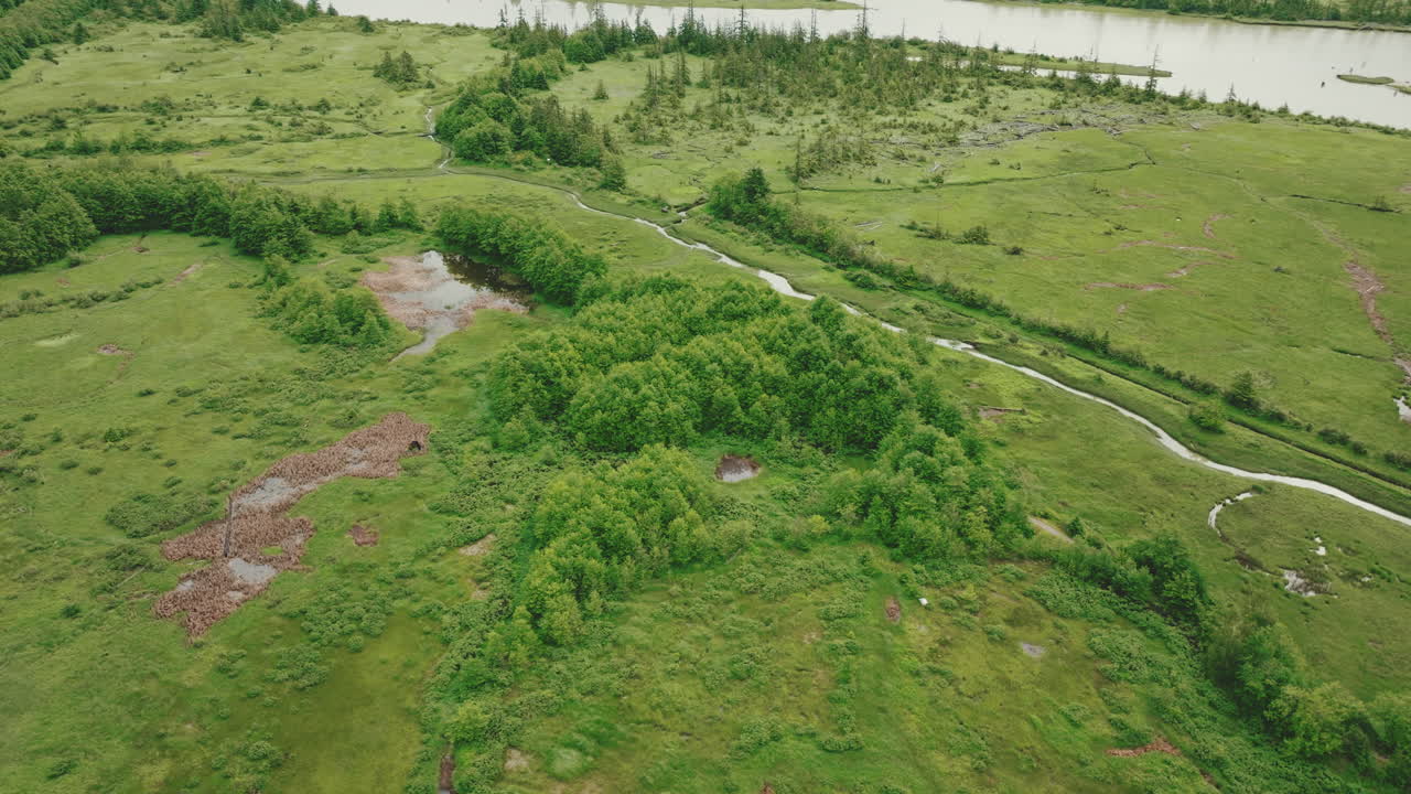 orbita sobre las exuberantes corrientes de los estuarios