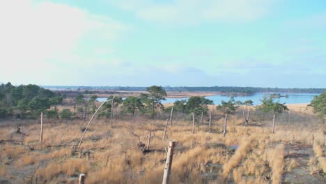 Majestic-landscape-of-savannah-in-aerial-drone-pan-right-view