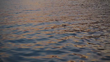 sunset reflections on water