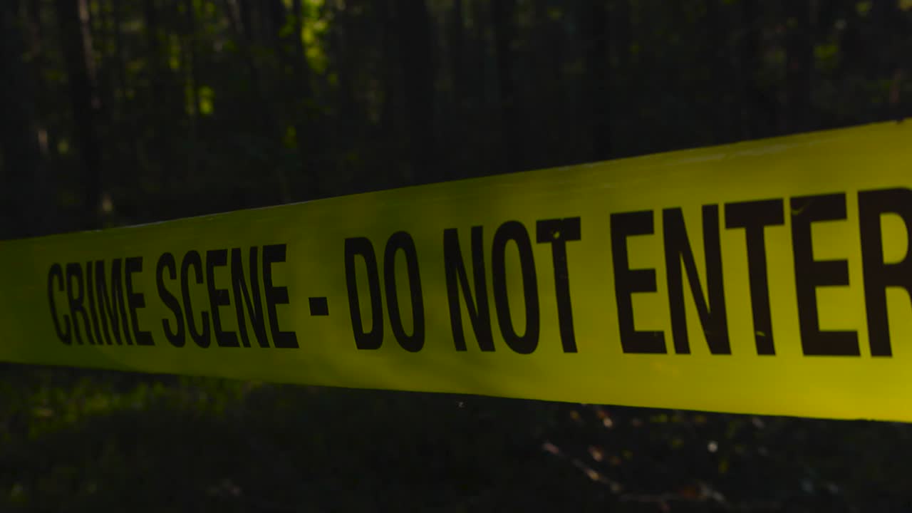 Cinematic close up of yellow crime scene tape stretched between trees in a forest with sunlight backlighting the warning text and soft bokeh in the background