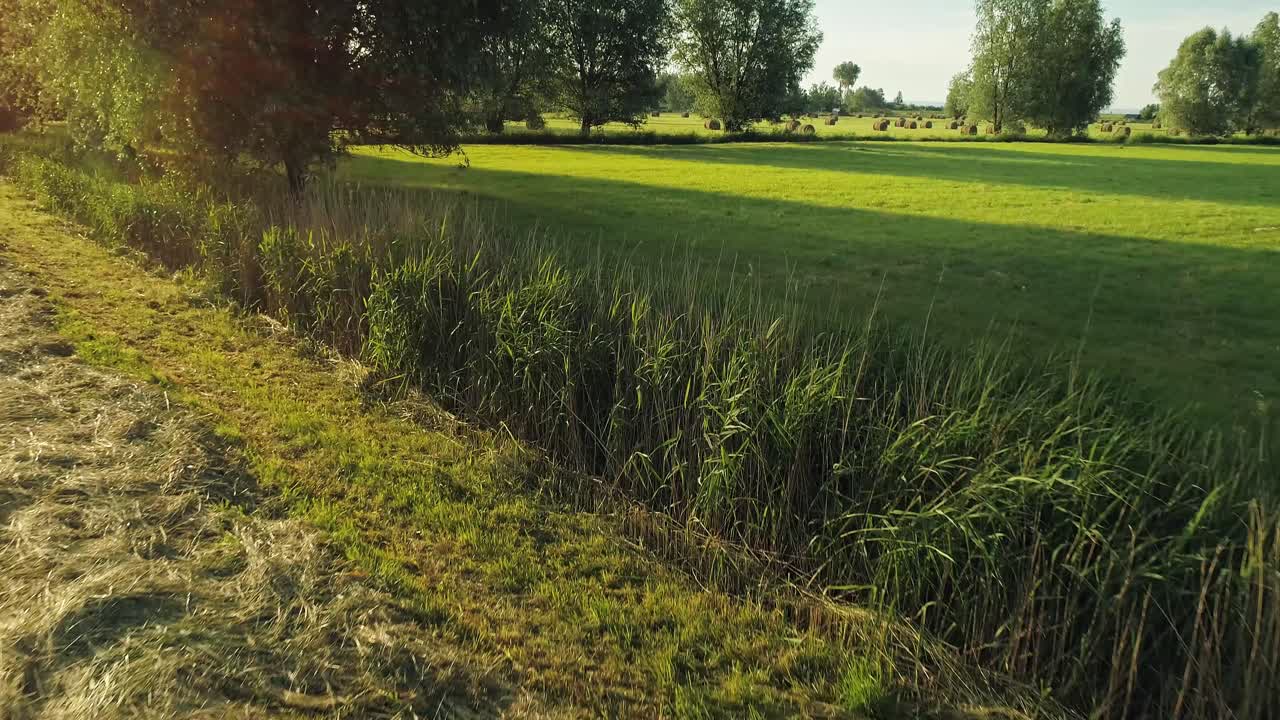 pastizales rurales con hermoso brillo dorado desde el atardecer, antena baja