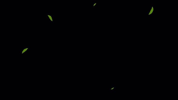 caricaturas de hojas y flores 23