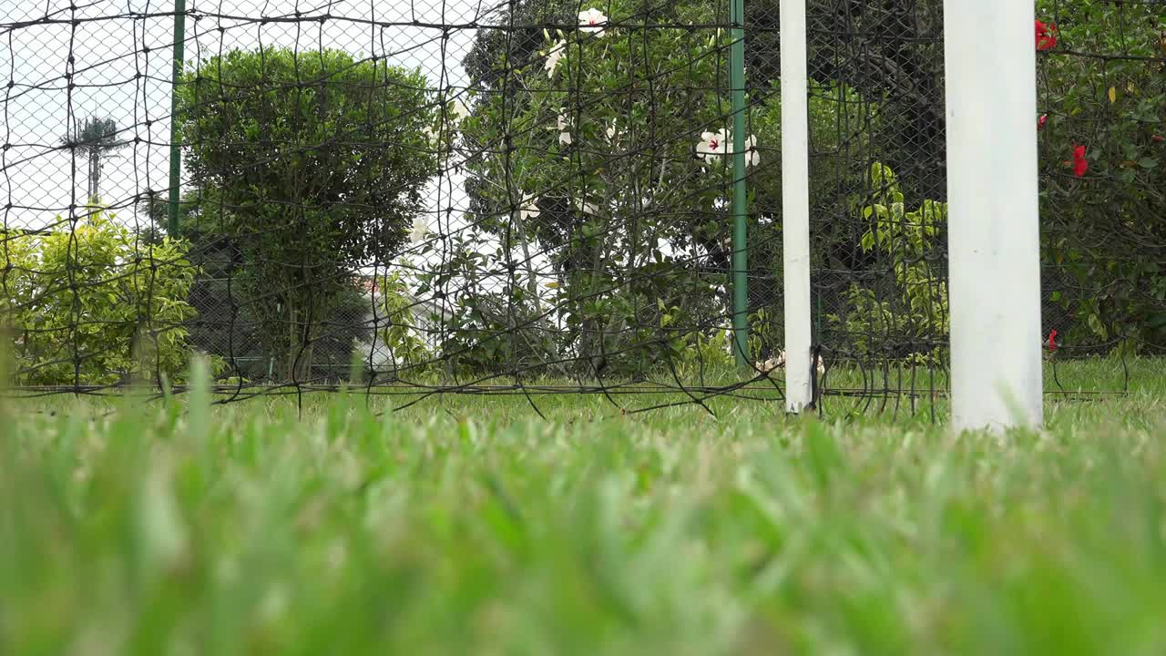 축구 공, 축구, 축구, 스포츠