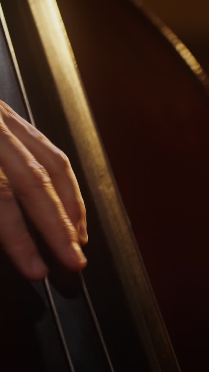 primer plano de un contrabajista