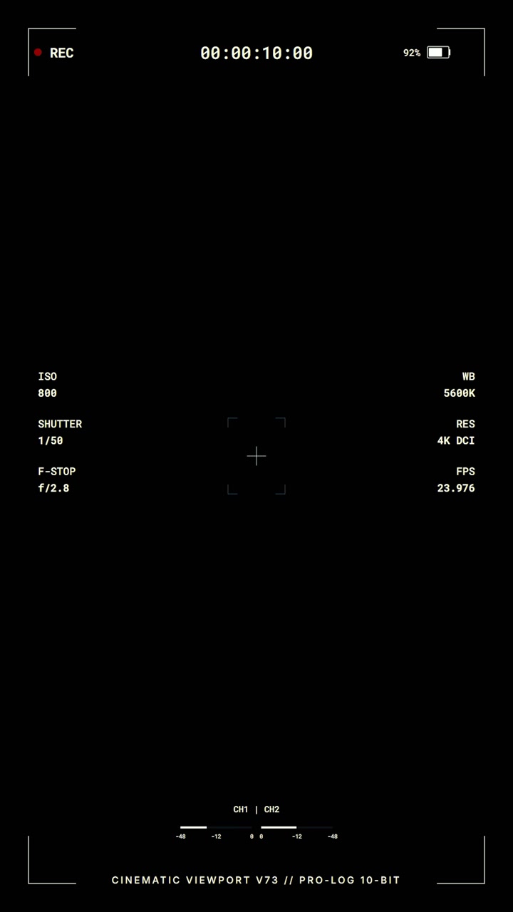Digital Camera Viewfinder Overlay with Recording Information