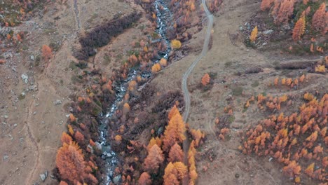 camino al lado de la montaña arroyo serpientes hasta el valle, árboles en vivos colores de otoño