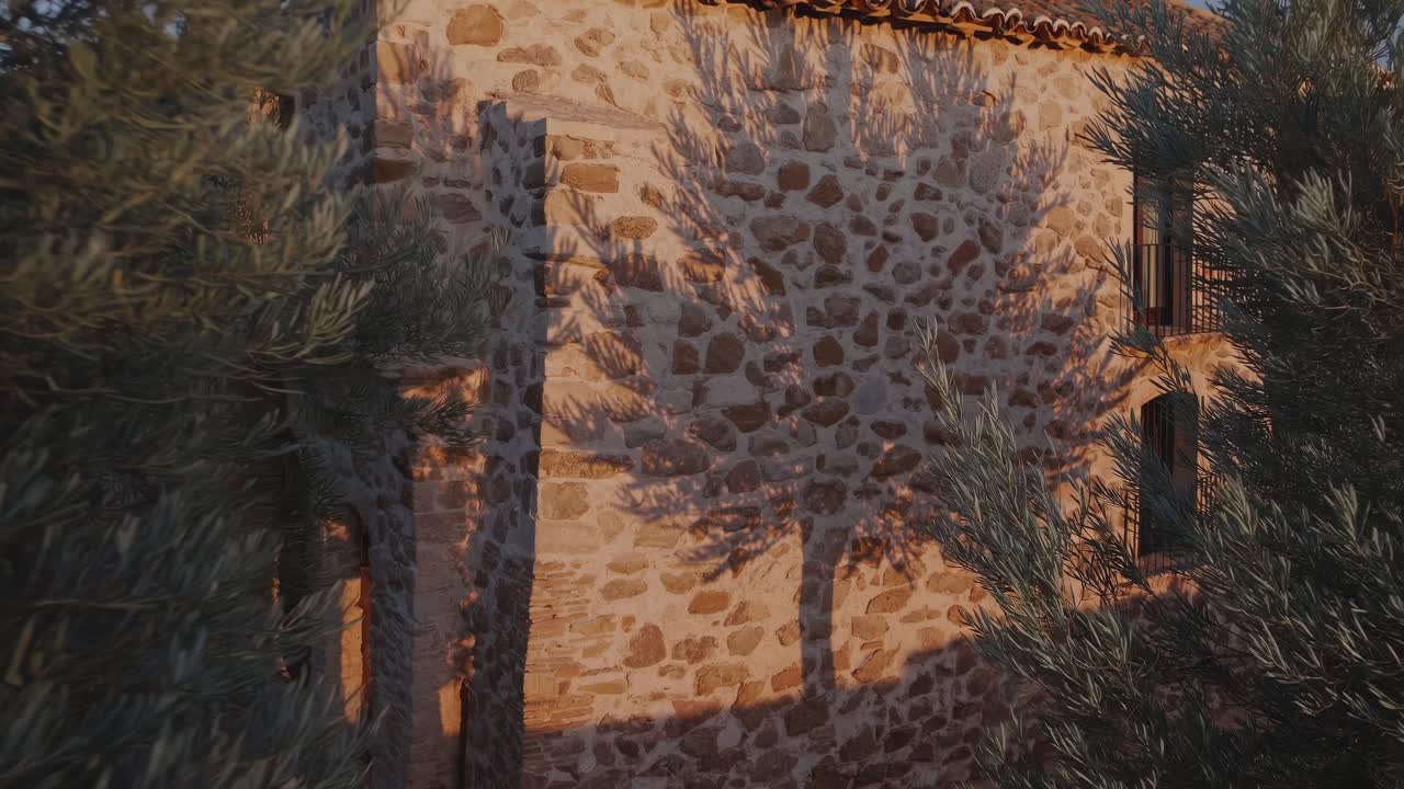 Branches of olive trees surrounding a rural house made of stones and with a tiled roof, projecting their shadow on the wall during a summer sunset
