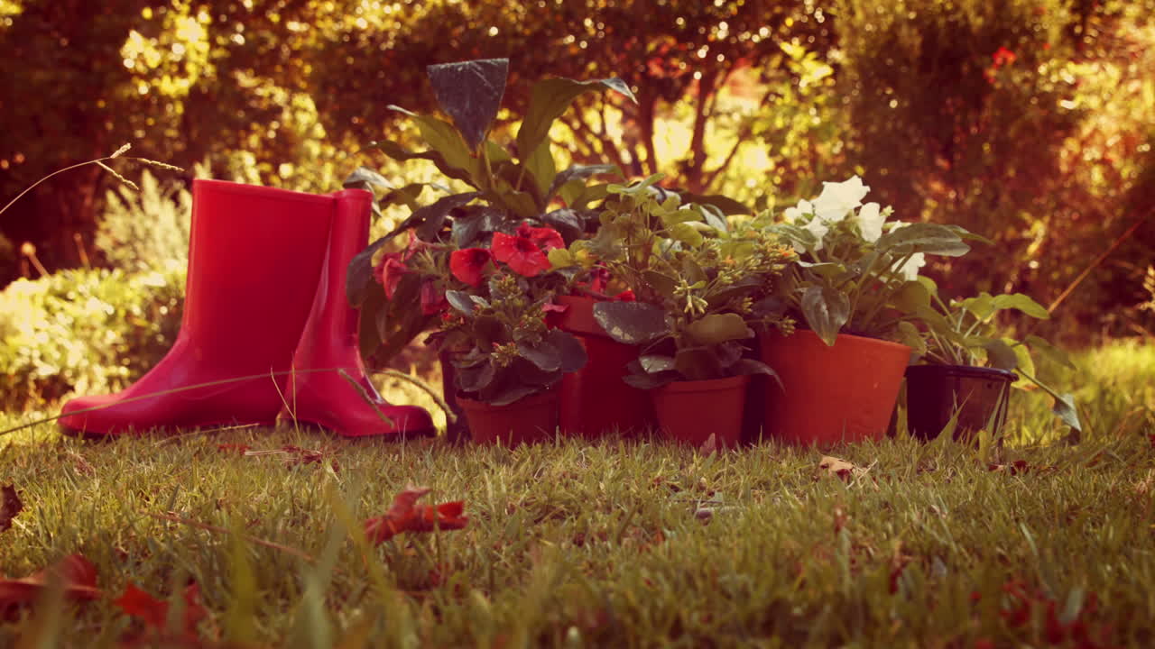 Pots de fleurs et botte par terre