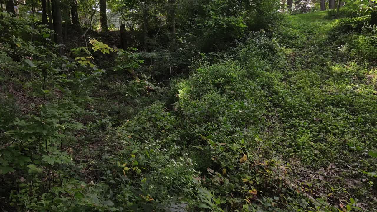 antena vertical desde un primer plano extremo de una tubería de drenaje de aguas pluviales hasta el dosel del bosque