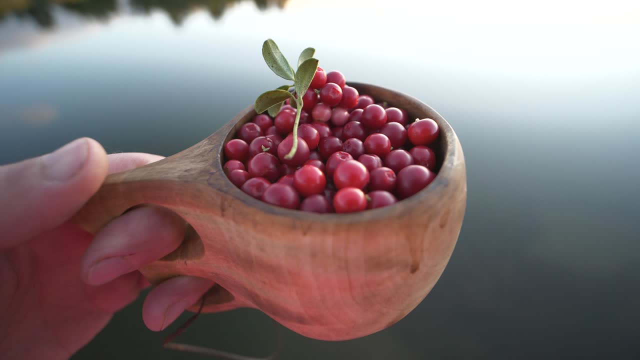 Male hand holding lingonberries in wooden cup at lake, point of view