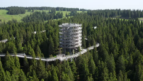 treetop walk observatory, pohorje, rogla, slovenia, europe - popular travel destination - aerial drone shot