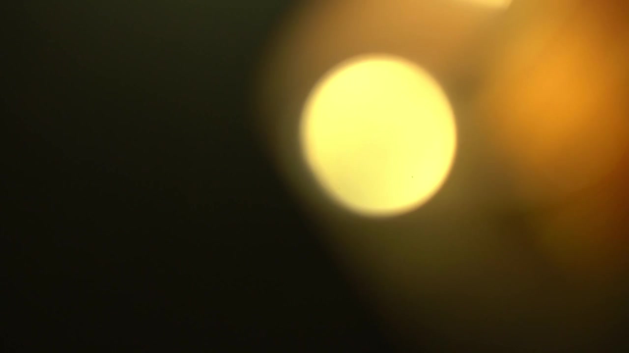 Fuoriuscite di luce dinamiche e Bokeh su sfondo nero